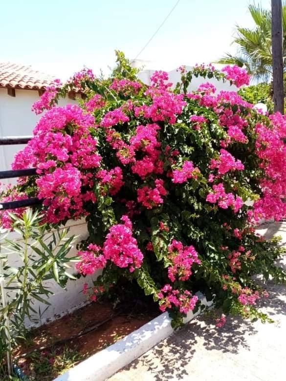 Evas House 7 Mins Walk To Beach Villa Stavros  Luaran gambar